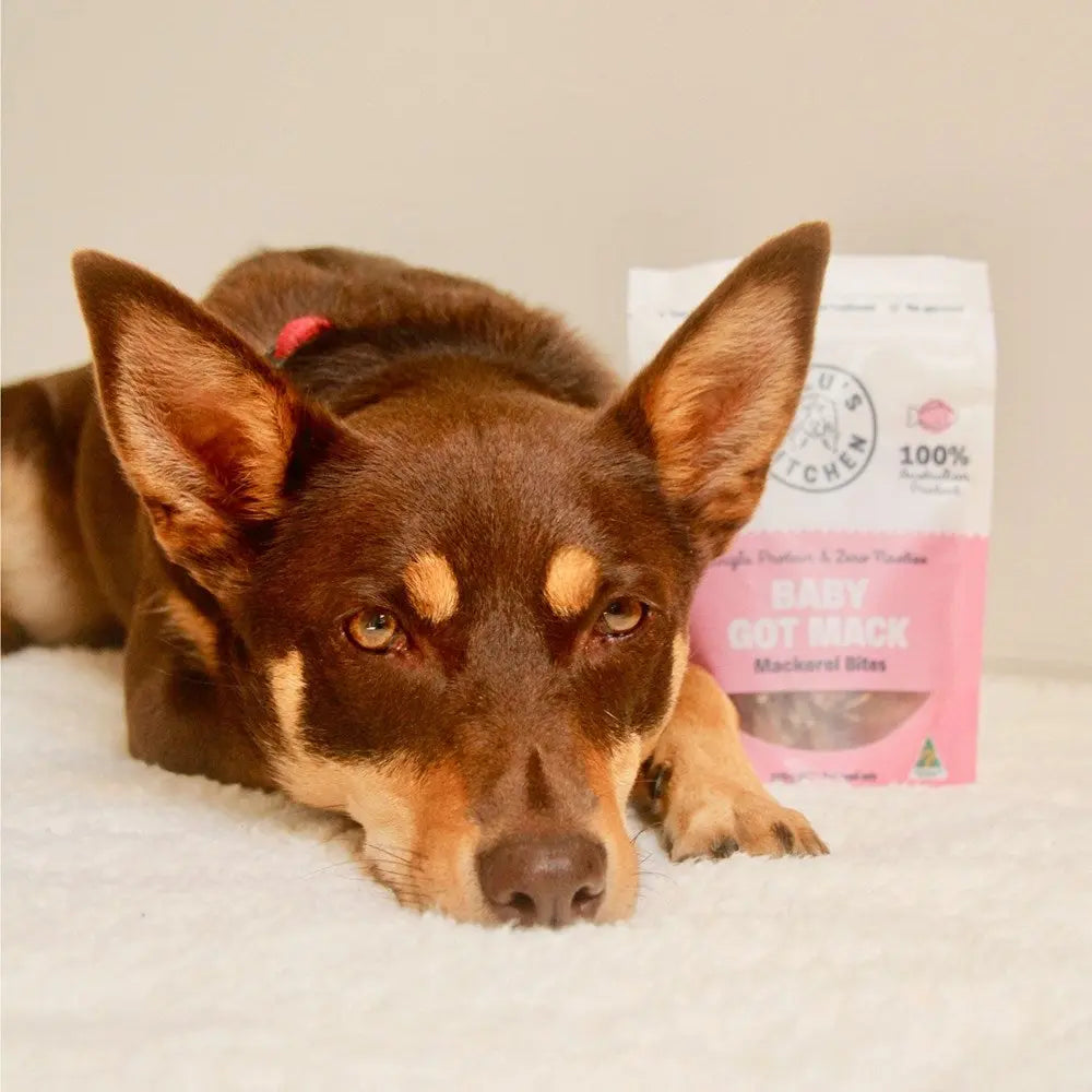 Lulu's Kitchen Baby Got Mack Mackerel Bites Dog Treats Lulu's Kitchen