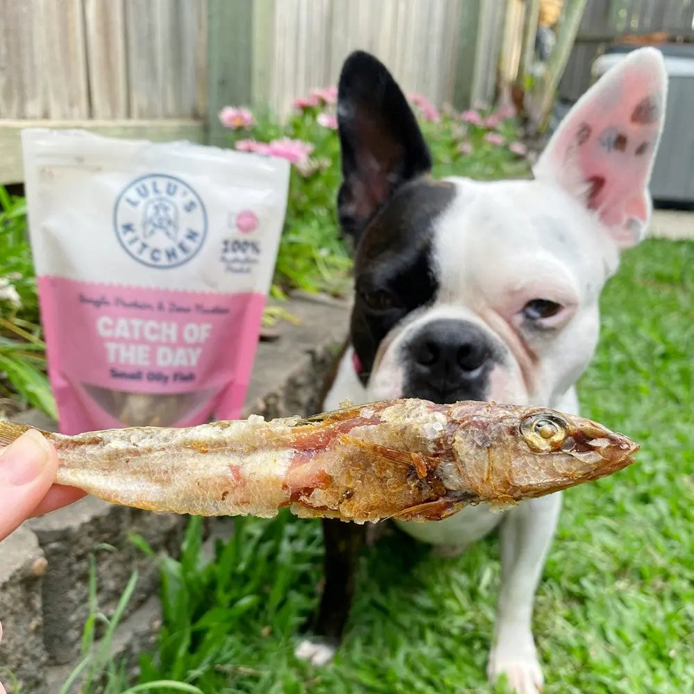 Lulu's Kitchen Catch Of The Day Small Oily Fish Dog Treats Lulu's Kitchen