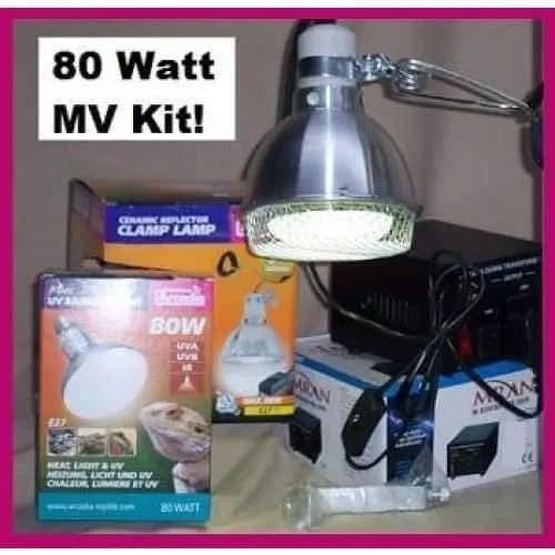 Mercury Vapor Bulb For Reptiles With 230 Volt Bulb works in US & Canada Talis Us