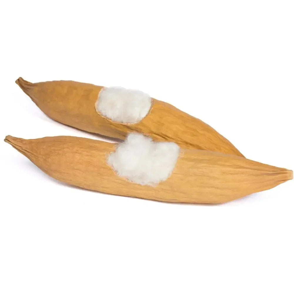 Mod Pods for Small Animals Prevue Pet