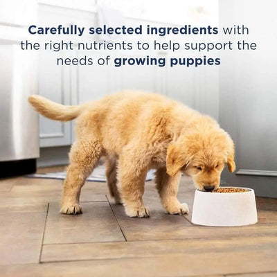 Natural Balance Pet Foods LID Duck and Potato Puppy Natural Balance CPD