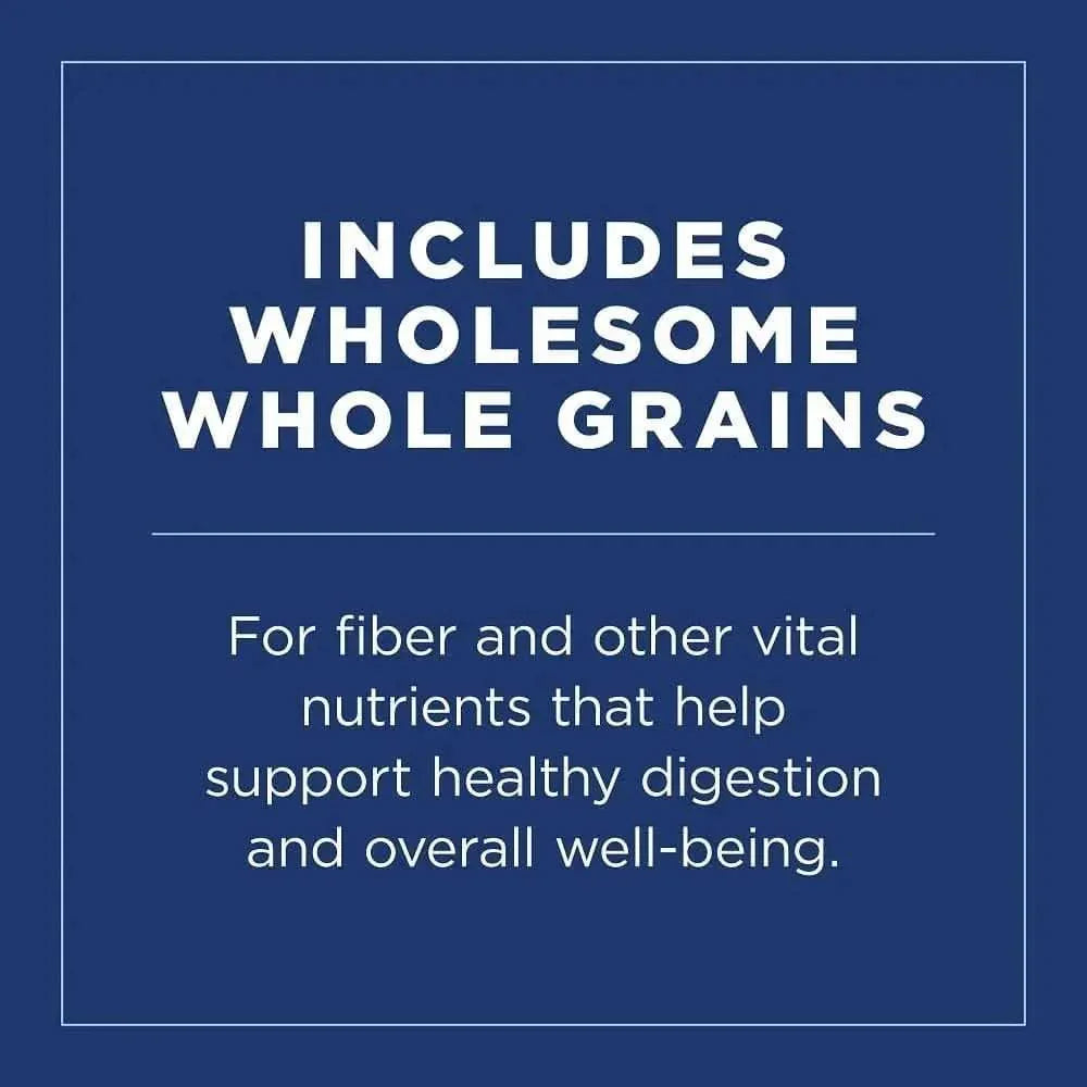 Natural Balance Pet Foods LID Salmon and Brown Rice Puppy Dry Dog Food Natural Balance CPD