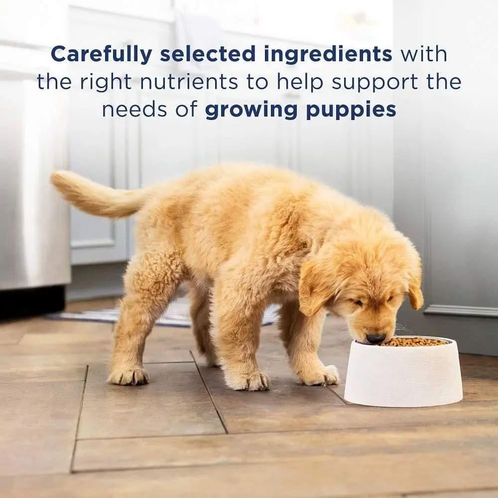 Natural Balance Pet Foods LID Salmon and Brown Rice Puppy Dry Dog Food Natural Balance CPD