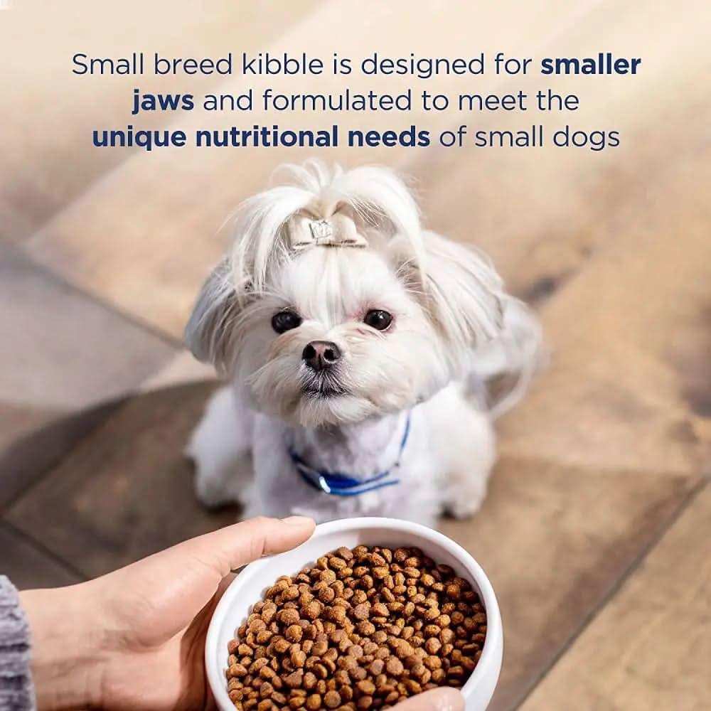 Natural Balance Pet Foods LID Salmon and Sweet Potato Small Breed Natural Balance CPD