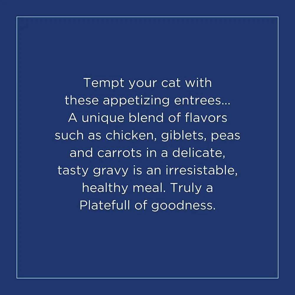Natural Balance Pet Foods Platefulls Chicken & Salmon Formula in Gravy Cat Wet Food 3 oz, 24 pk Natural Balance CPD