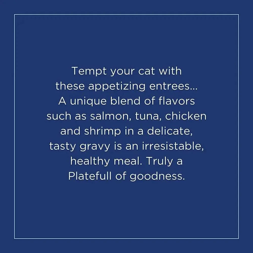 Natural Balance Pet Foods Platefulls Indoor Turkey & Duck Formula in Gravy Cat Wet Food Natural Balance CPD