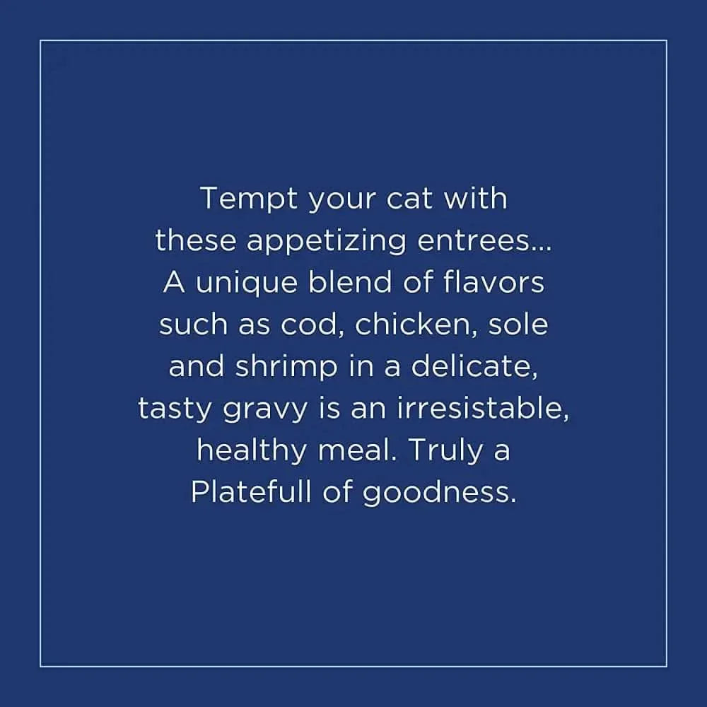 Natural Balance Pet Foods Platefulls Turkey Chicken & Duck Formula in Gravy Cat Wet Food 3 oz, 24 pk Natural Balance CPD