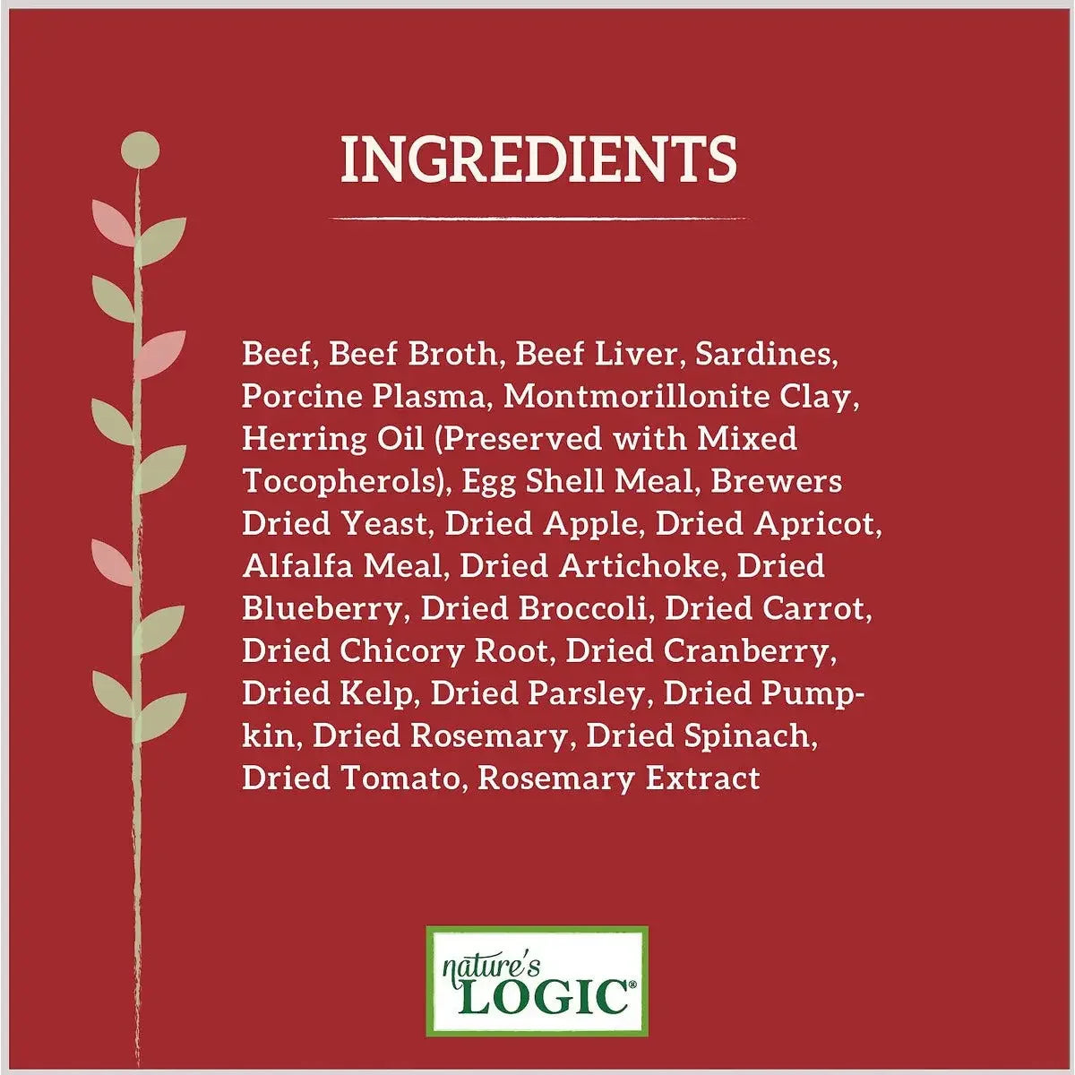 Nature's Logic Canine Beef Feast Grain-Free Canned Dog Food 13.2oz Case of 12 Nature's Logic