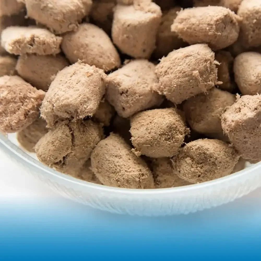 Northwest Naturals Freeze Dried Cats Nibbles Turkey Cat Food 11 oz Northwest Naturals