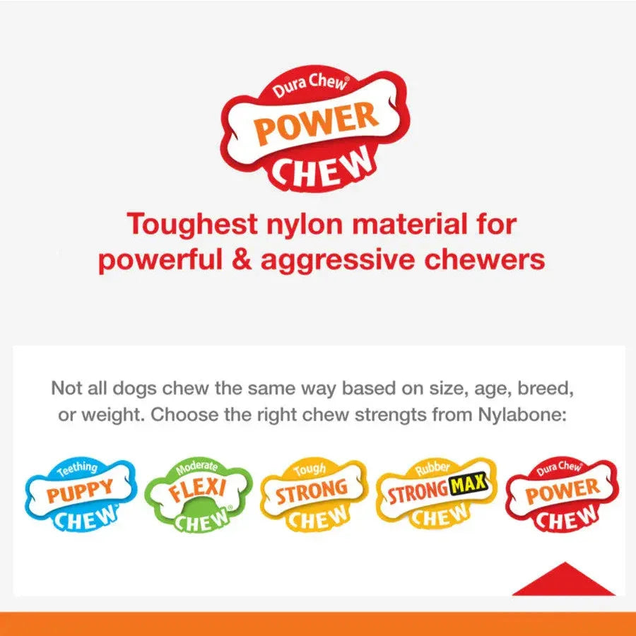 Nylabone Breast Cancer Awareness Chicken Dog Power Chew Toy Nylabone