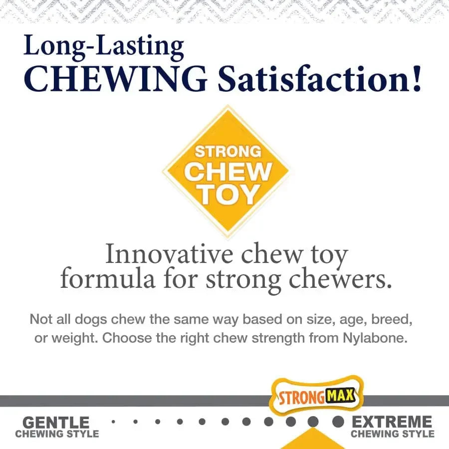 Nylabone Gourmet Style Strong Chew Stick Dog Toy Nylabone