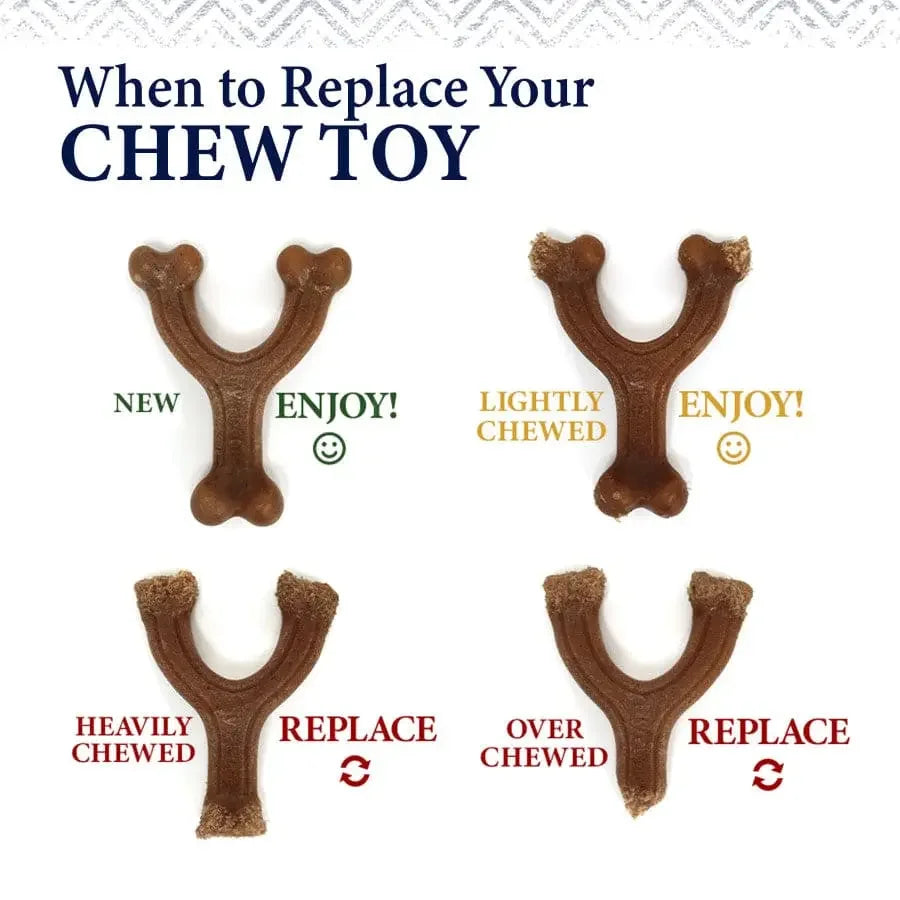 Nylabone Gourmet Style Strong Chew Stick Dog Toy Nylabone