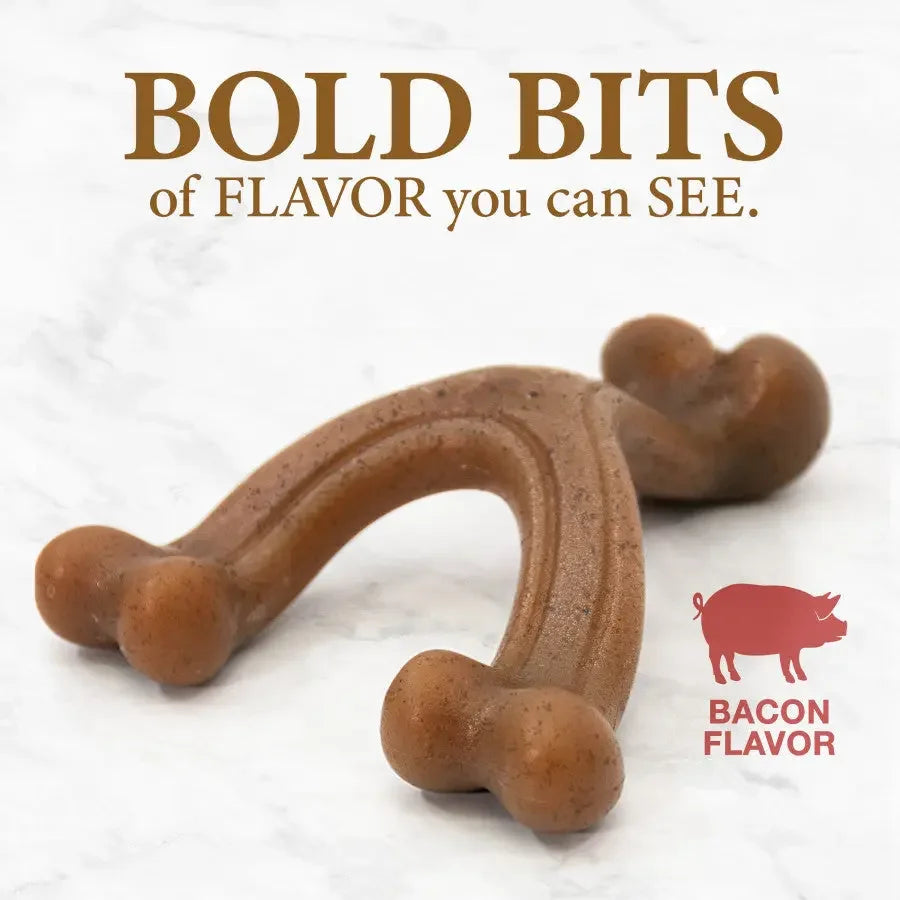 Nylabone Gourmet Style Strong Chew Wishbone Dog Toy Wishbone, Nylabone