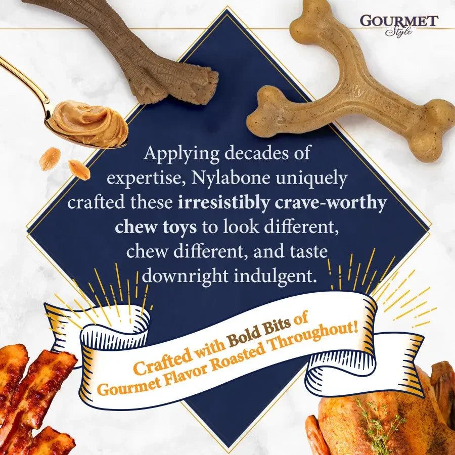 Nylabone Gourmet Style Strong Chew Wishbone Dog Toy Wishbone, Nylabone