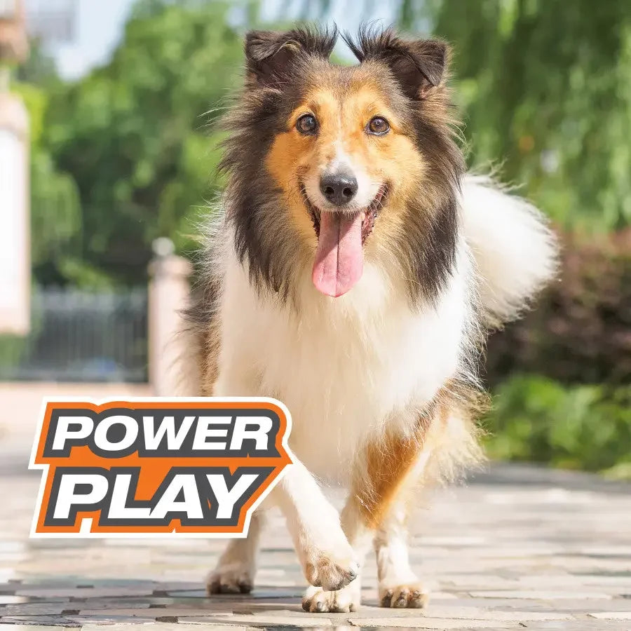 Nylabone Power Play Dog Basketball B-Ball Gripz Nylabone