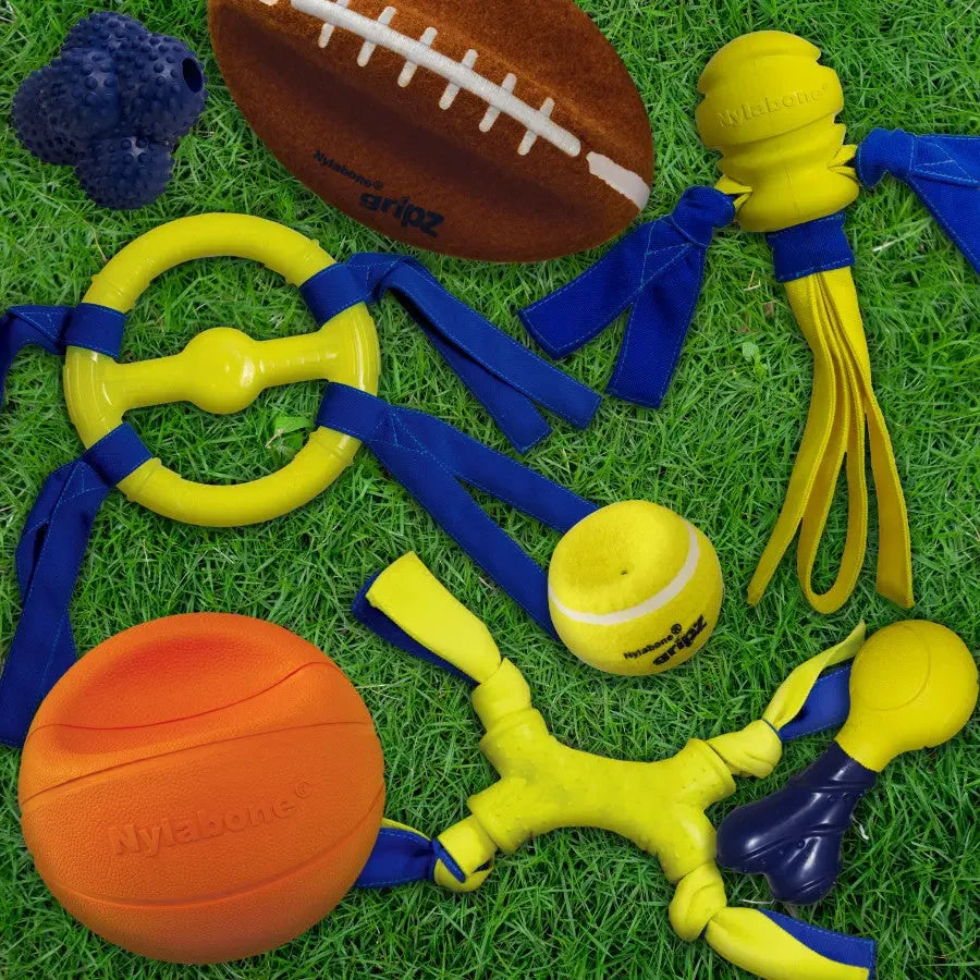 Nylabone Power Play Dog Basketball B-Ball Gripz Nylabone