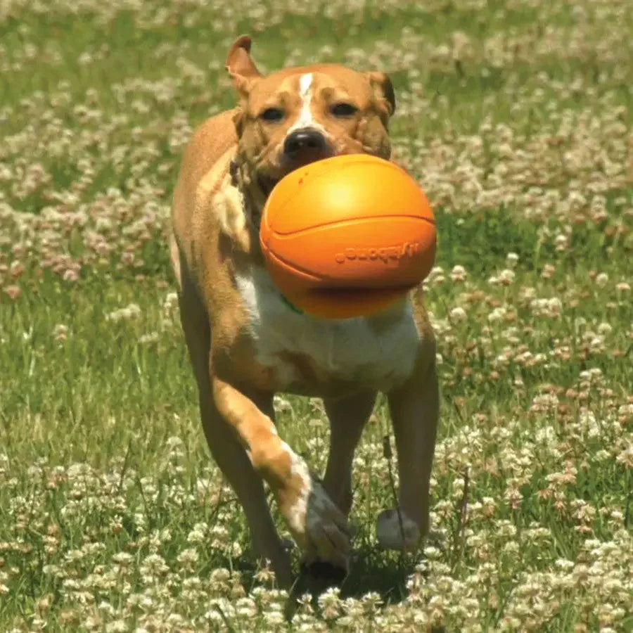 Nylabone Power Play Dog Basketball B-Ball Gripz Nylabone