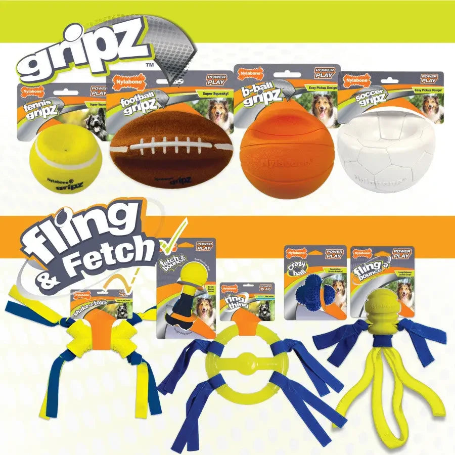 Nylabone Power Play Dog Fetch Toys Fling-a-Bounce Nylabone