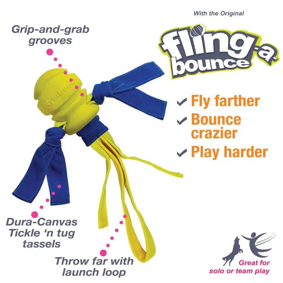 Nylabone Power Play Dog Fetch Toys Fling-a-Bounce Nylabone
