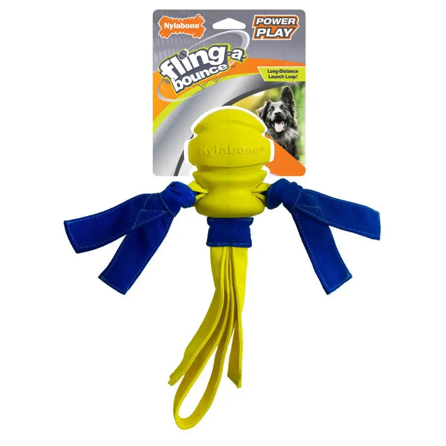 Nylabone Power Play Dog Fetch Toys Fling-a-Bounce Nylabone