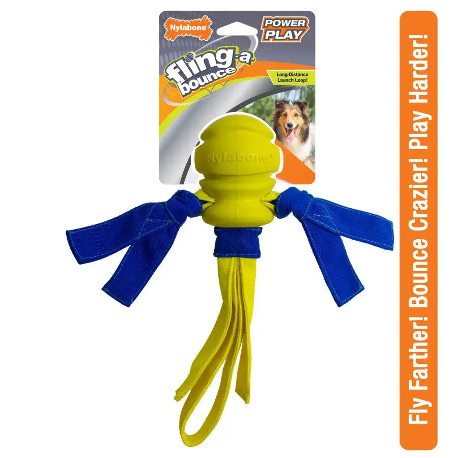 Nylabone Power Play Dog Fetch Toys Fling-a-Bounce Nylabone