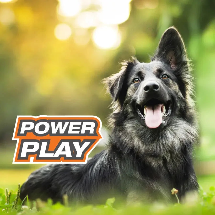Nylabone Power Play Dog Football Gripz Nylabone