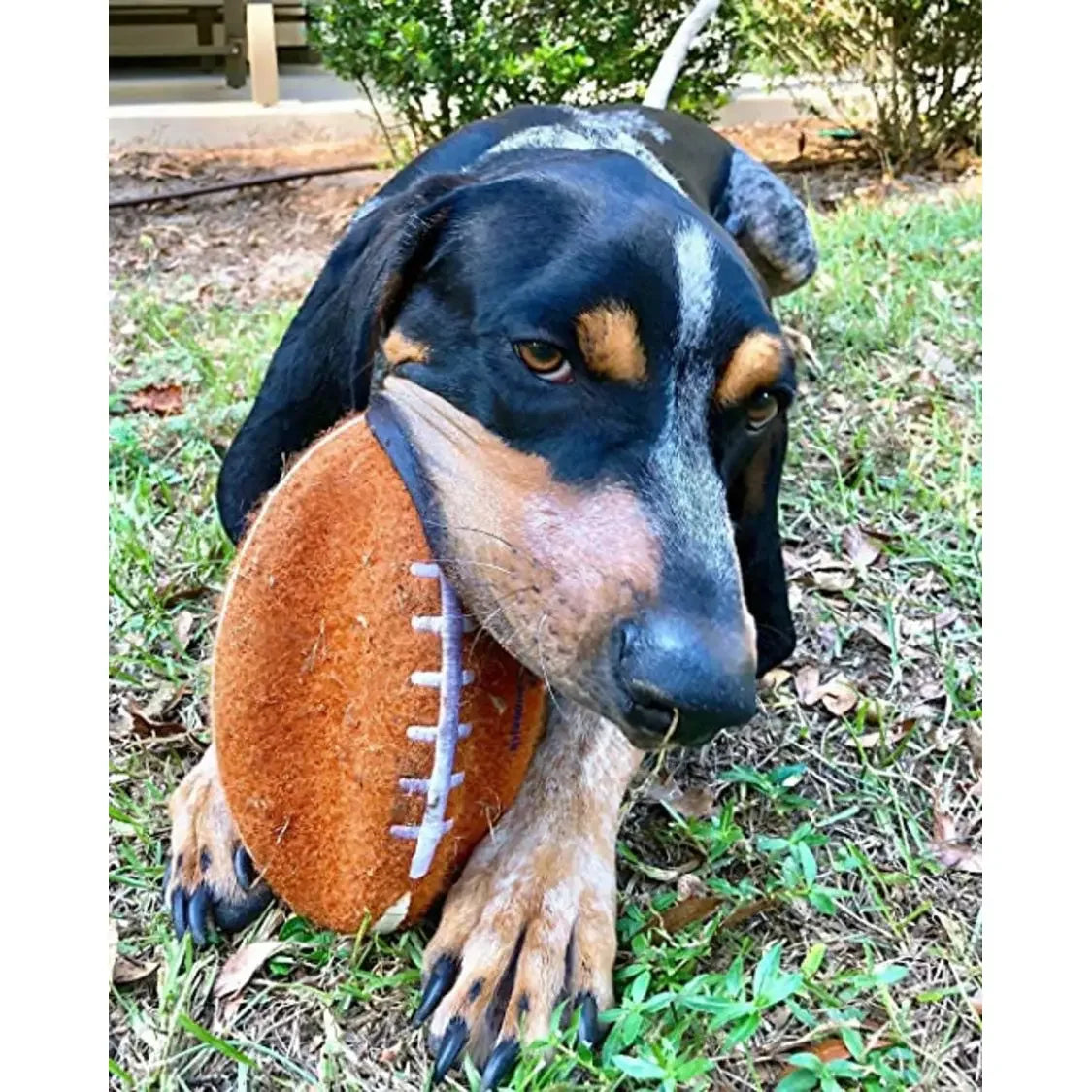 Nylabone Power Play Dog Football Gripz Nylabone