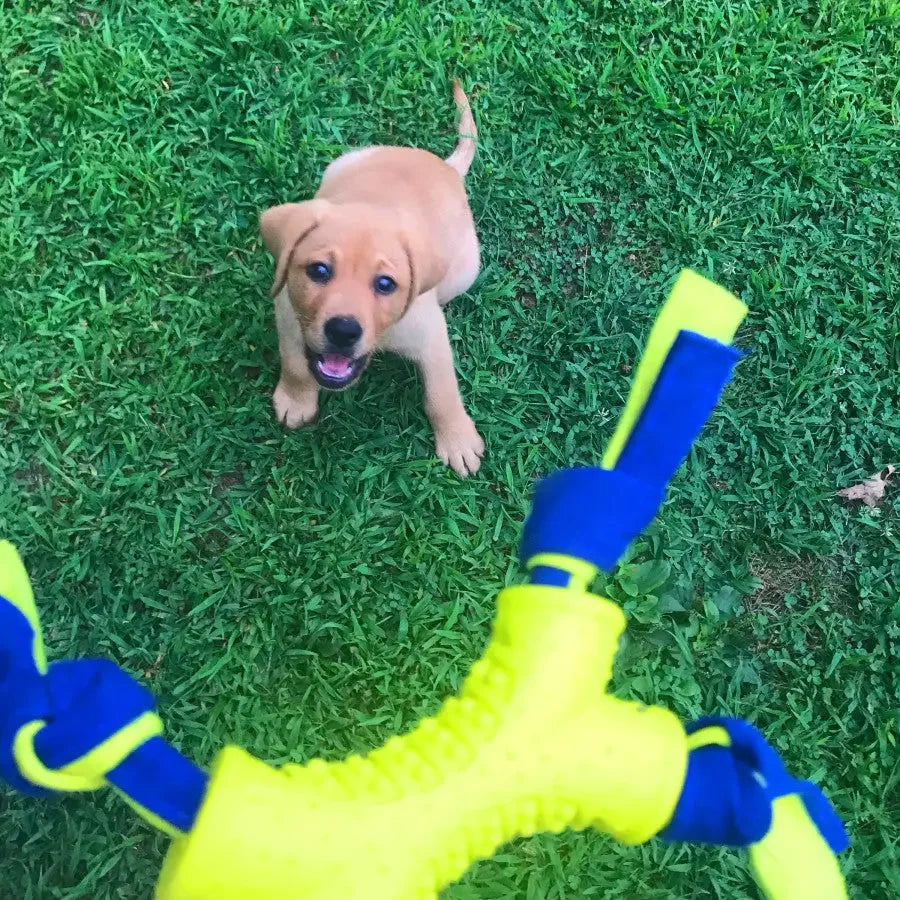 Nylabone Power Play Interactive Dog Toy Shake-a-Toss SMall Nylabone