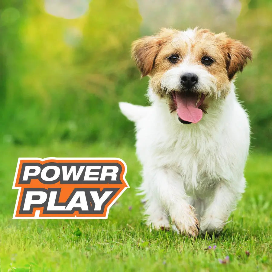 Nylabone Power Play Ring Thing Floatable Dog Toy Nylabone