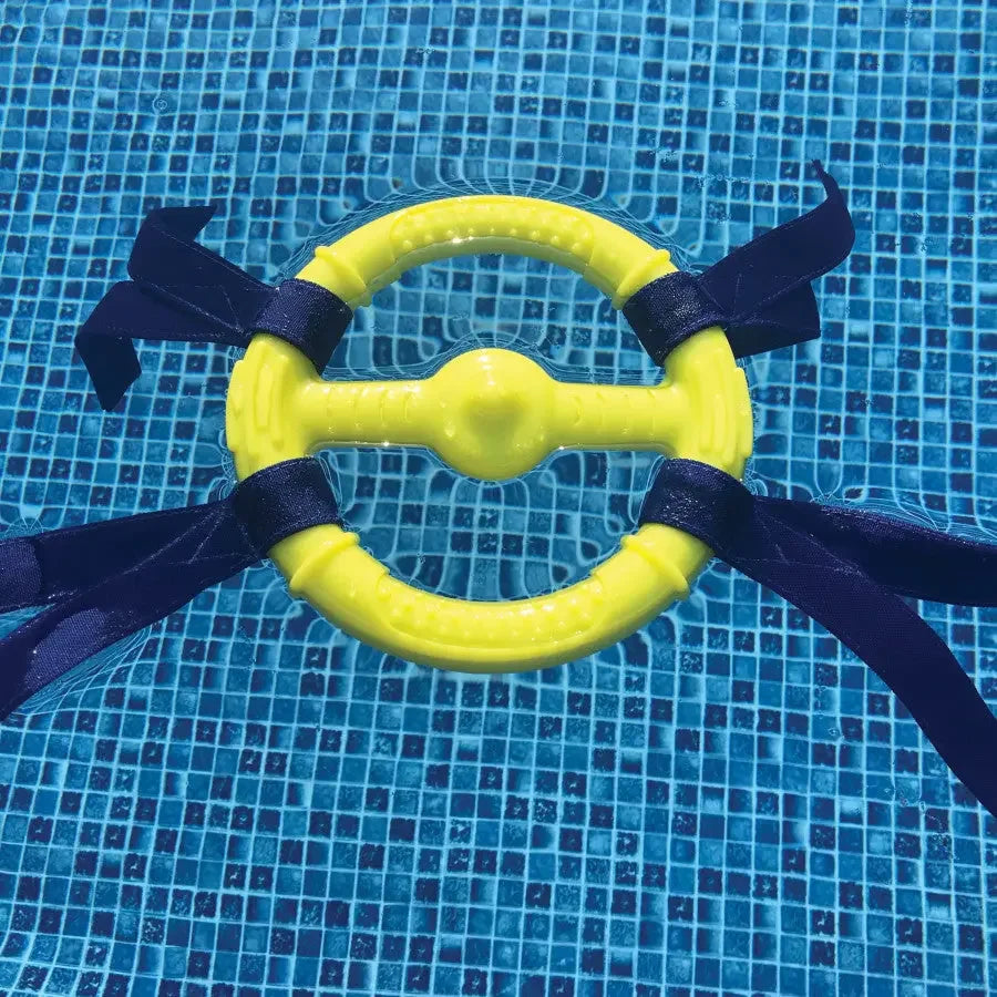 Nylabone Power Play Ring Thing Floatable Dog Toy Nylabone