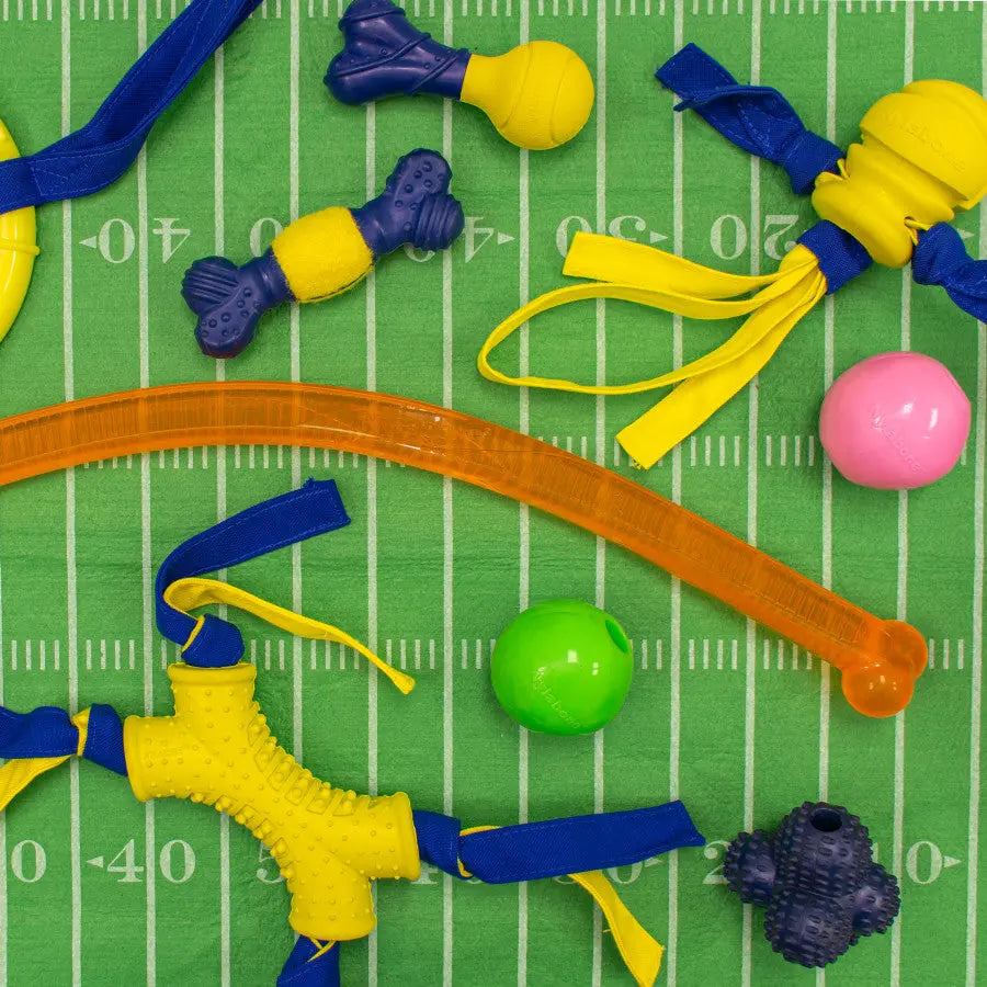 Nylabone Power Play Ring Thing Floatable Dog Toy Nylabone