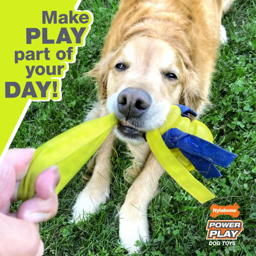 Nylabone Power Play Ring Thing Floatable Dog Toy Nylabone