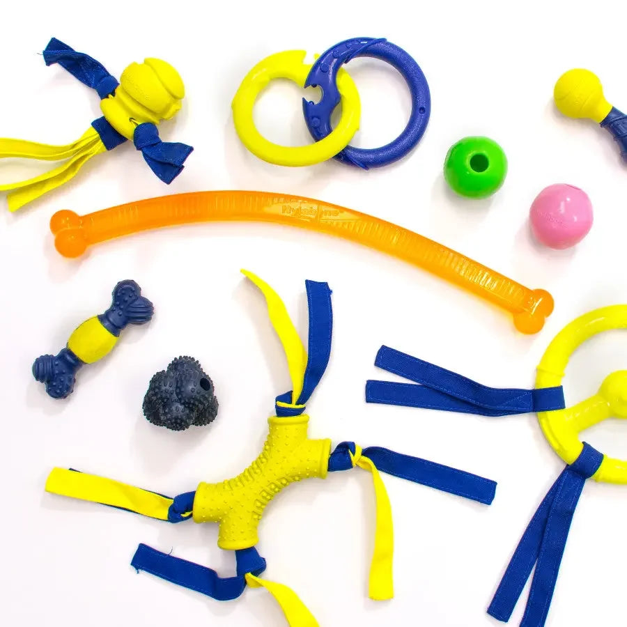 Nylabone Power Play Ring Thing Floatable Dog Toy Nylabone