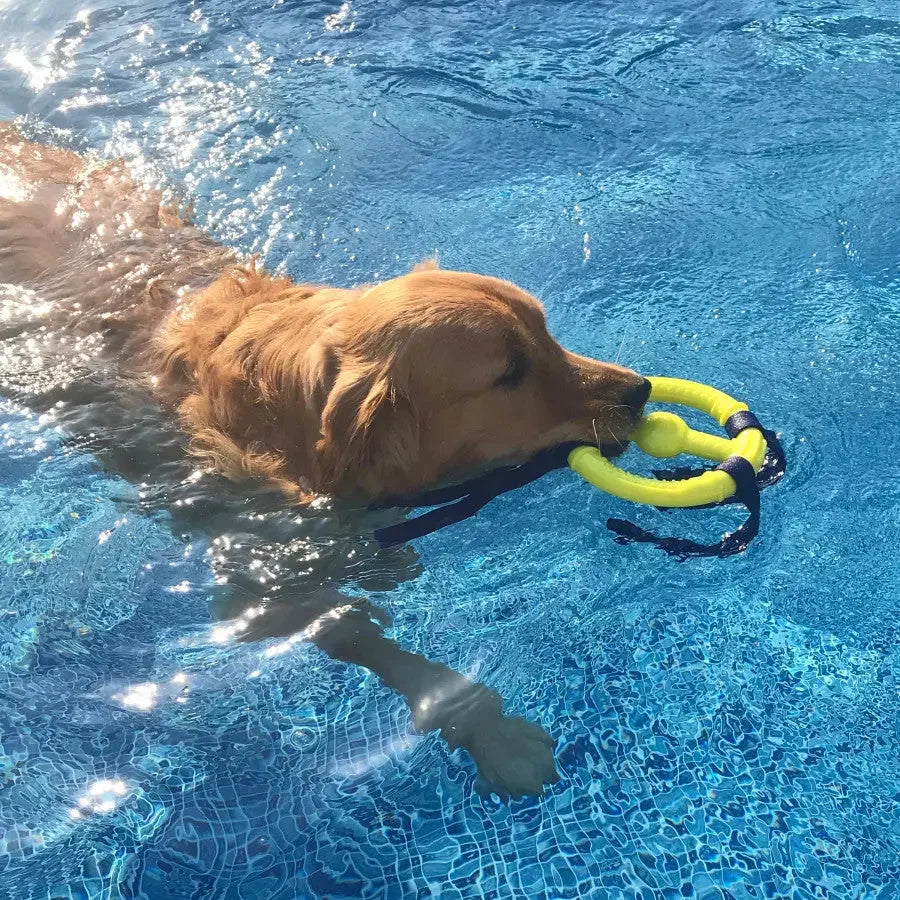 Nylabone Power Play Ring Thing Floatable Dog Toy Nylabone