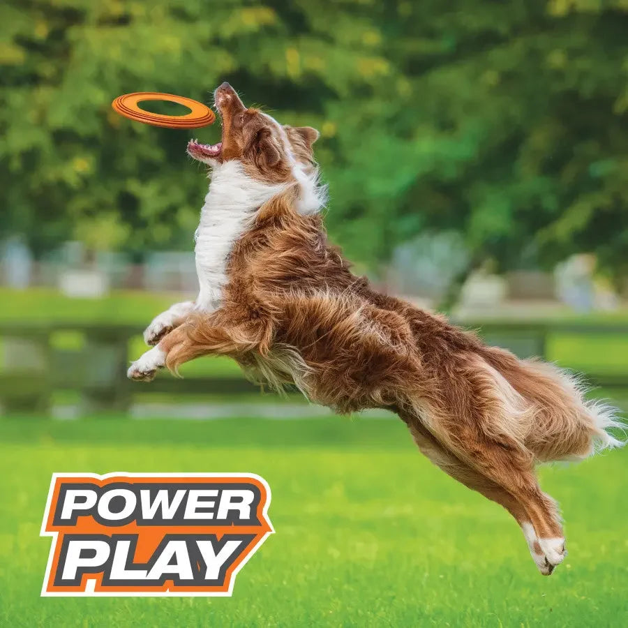 Nylabone Power Play Super Flyer Gripz Disc for Dogs Nylabone