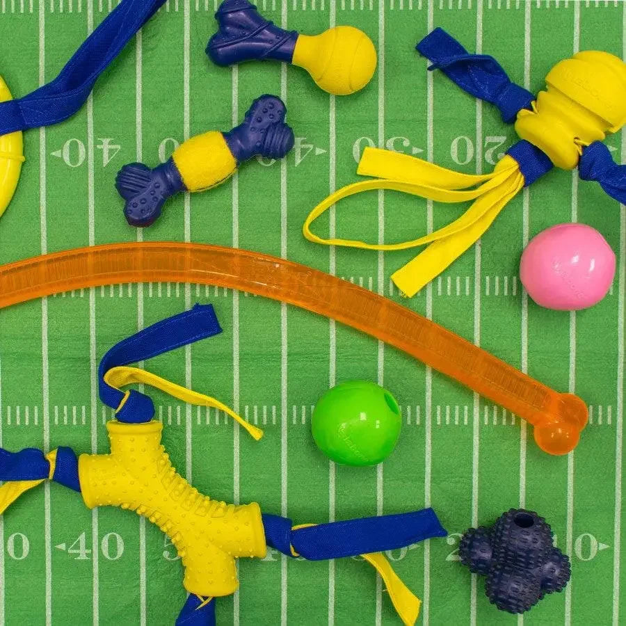 Nylabone Power Play Tennis Play 'n Fetch Interactive Dog Toy Play 'n Fetch Nylabone