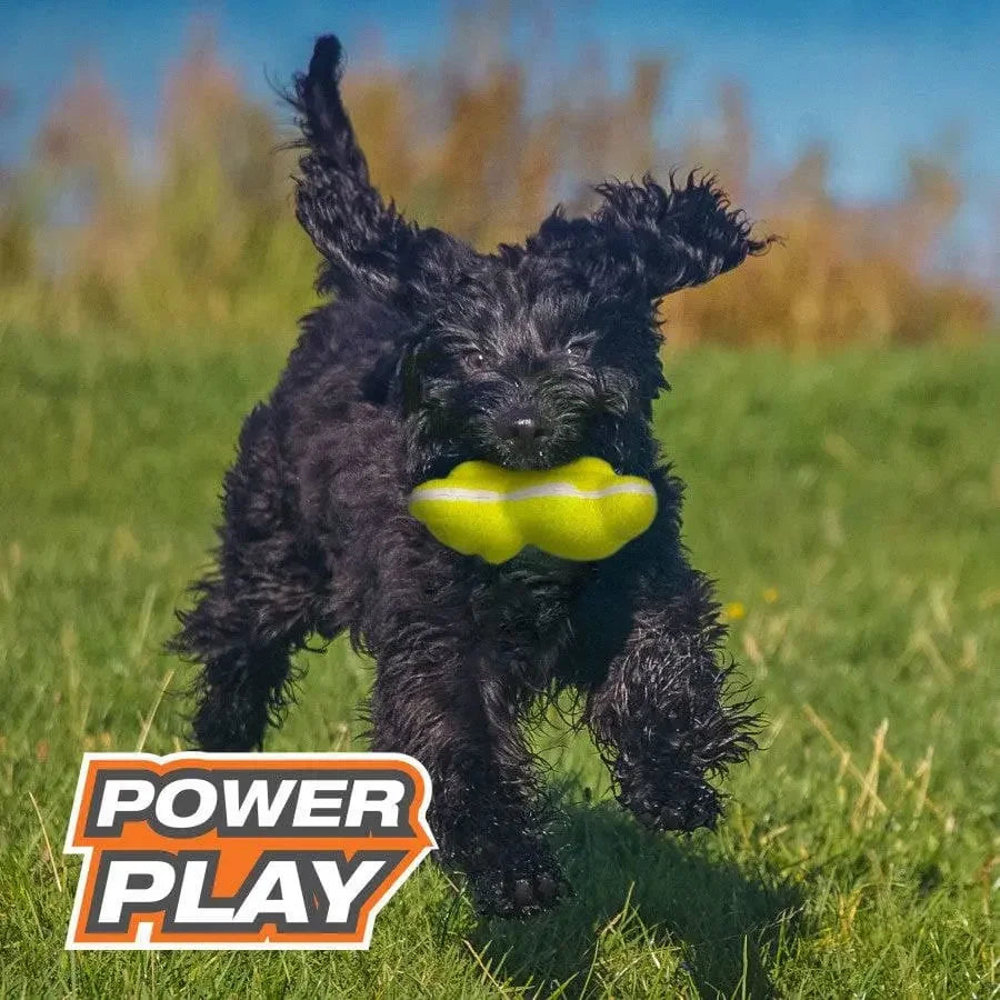 Nylabone Power Play Tennis Teddy Gripz Bear Dog Toy Teddy Nylabone