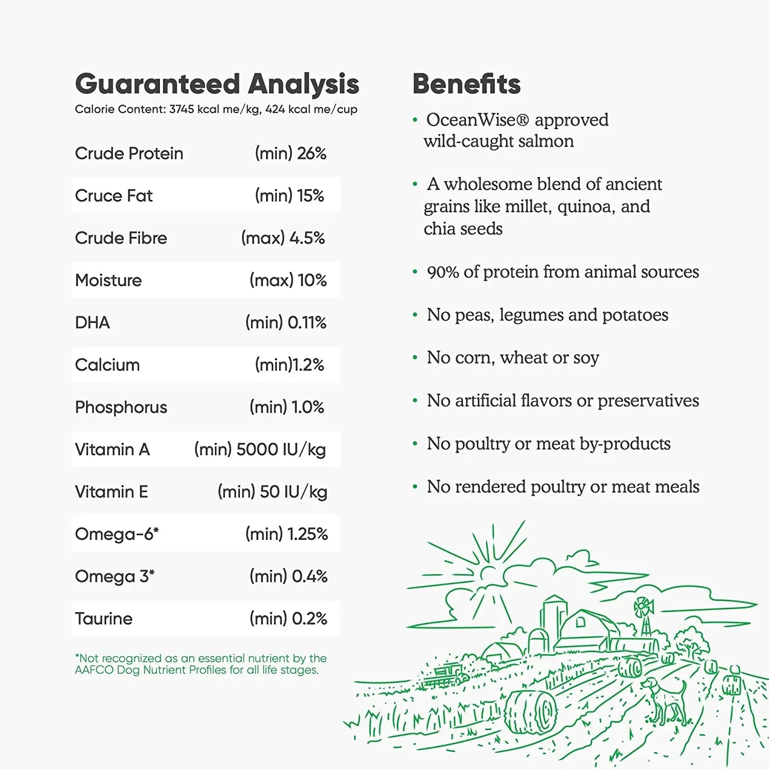 Open Farm® Wild-Caught Salmon & Ancient Grains Dry Dog Food Open Farm