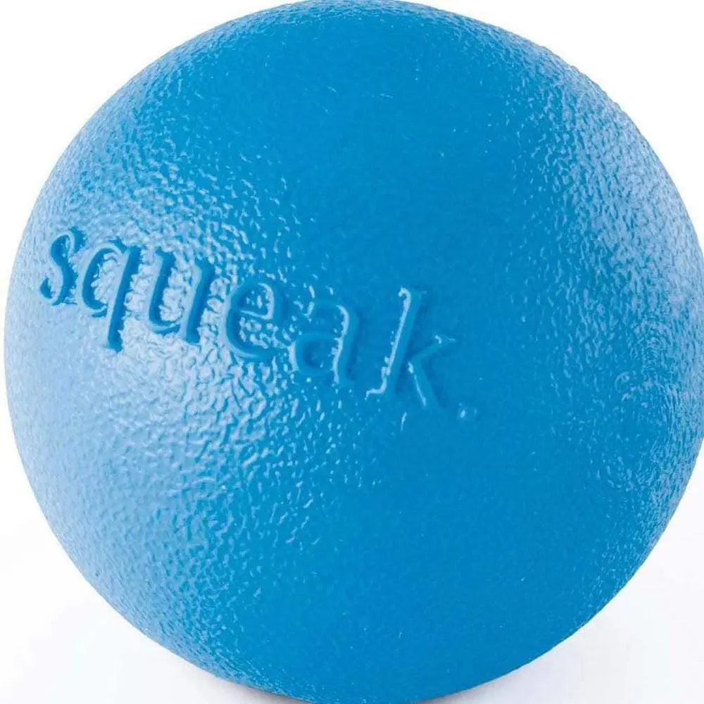 Planet Dog Blue Orbee Tuff Squeak Ball