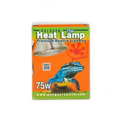 Pangea Halogen Heat Lamp Pangea