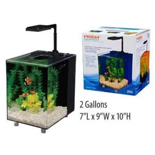 Top 10 Easy Plants for Your Freshwater Planted Aquarium - Bulk Reef Supply