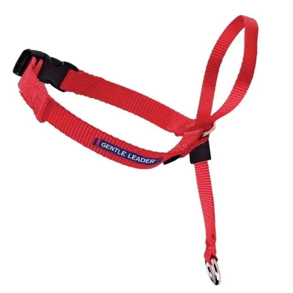 PetSafe Headcollar No-Pull Dog Collar PetSafe CPD