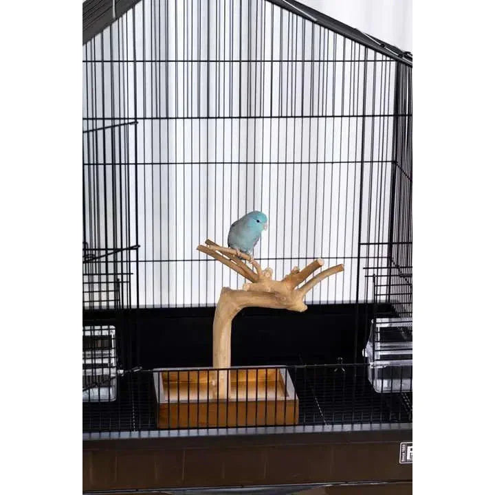 Prevue Pet Products Coffeawood Tree Mini Table Top Playstand Talis Us