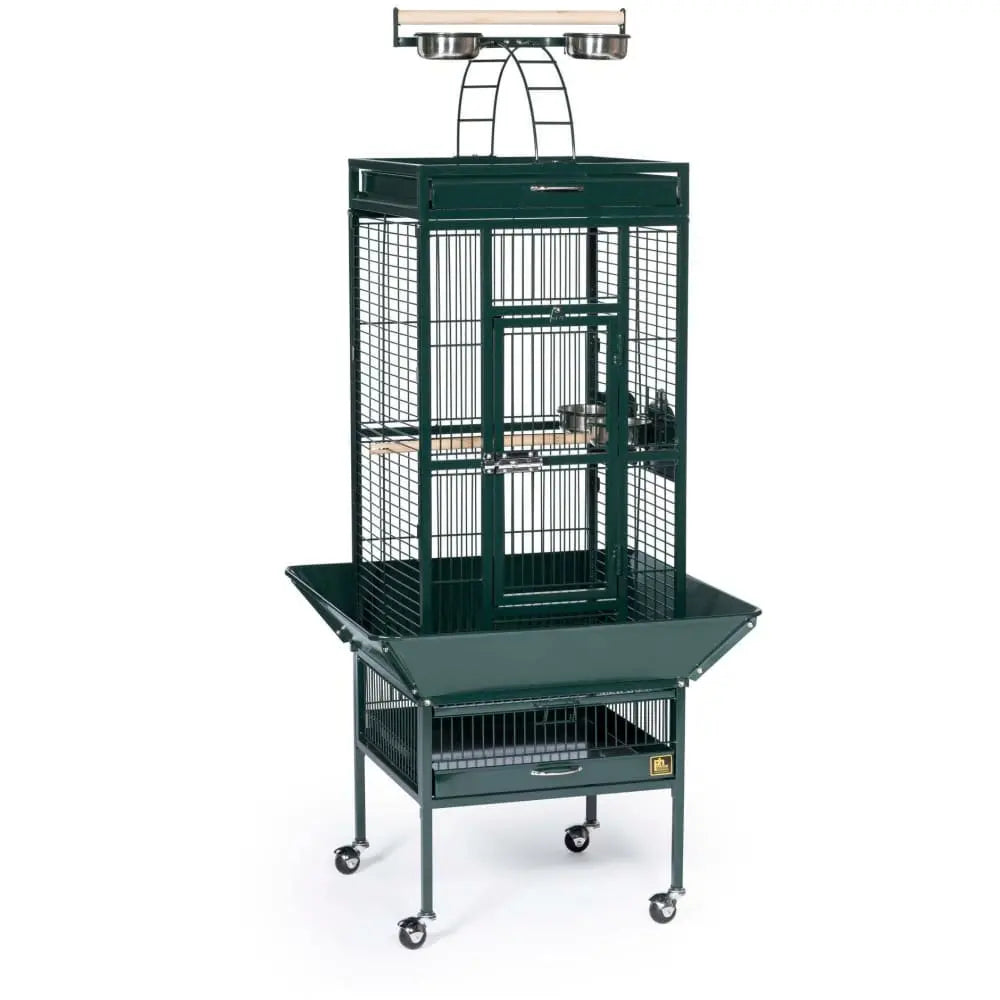 Prevue Pet Products Playtop Bird Home 3151 Prevue Pet