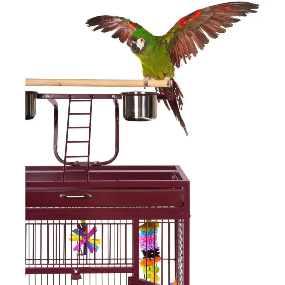 Prevue Pet Products Playtop Bird Home 3152 Prevue Pet
