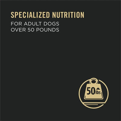 Pro Plan Beef & Rice Chunks in Gravy Large Breed Dog 12 / 13 oz Purina Pro Plan