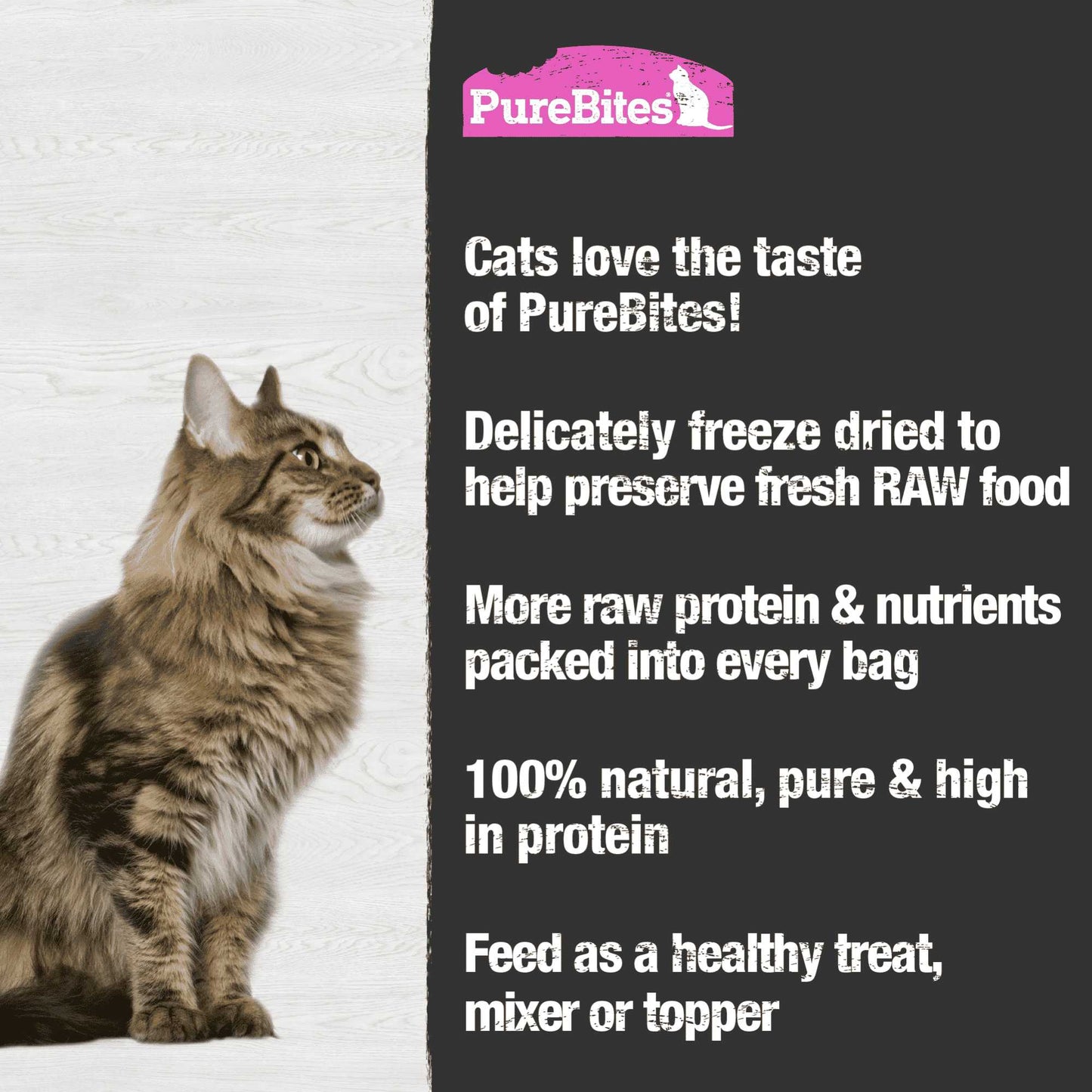 PureBites Wild Pacific Salmon Freeze-Dried Cat Treats Pure Treats