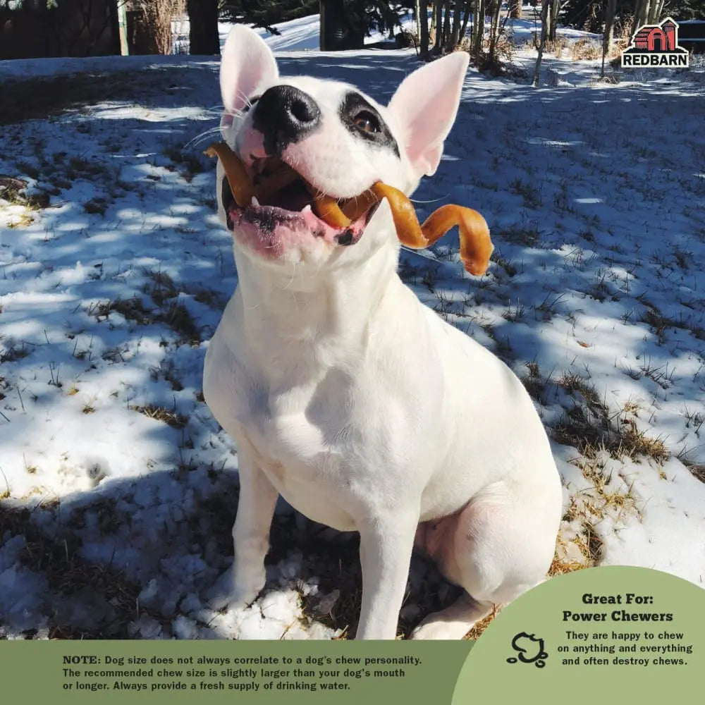 Redbarn Pet Products Bully Springs Dog Treat Redbarn
