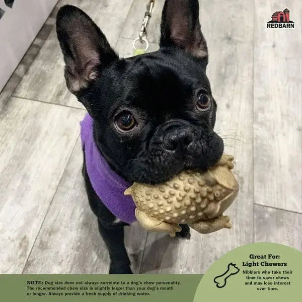 Redbarn Pet Products Chew-A-Bulls Toad Dog Treat Redbarn