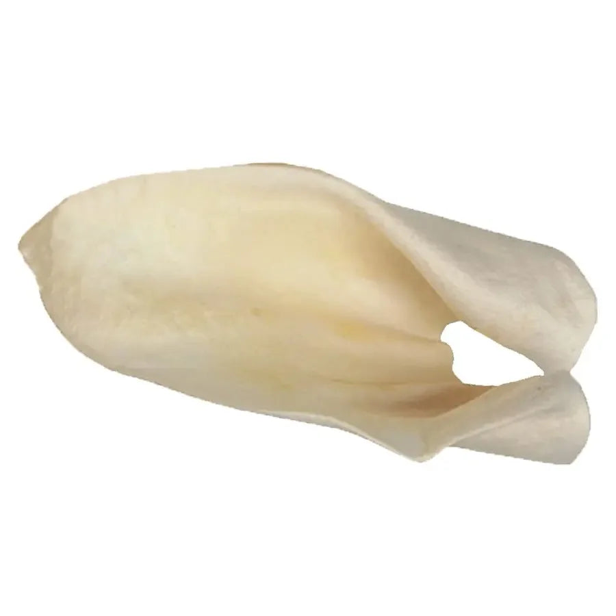 Redbarn Pet Products Cow Ears Dog Chew 100 ct Redbarn